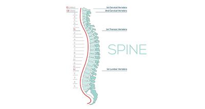 Meeting the Mark: Essential Requirements for Meaningful Testing of Lumbar Functions Part 1