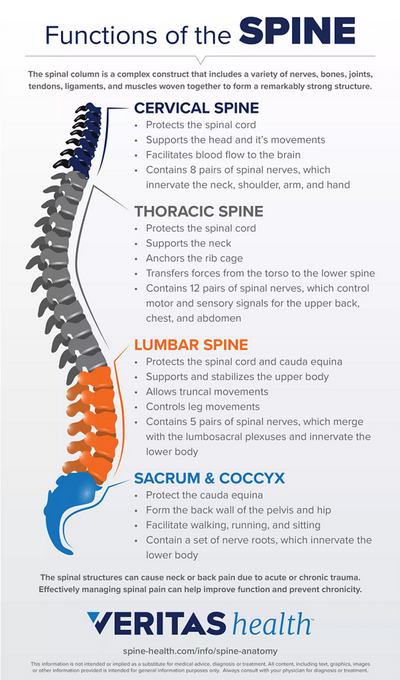 Meeting the Mark: Essential Requirements for Meaningful Testing of Lumbar Functions Part 2