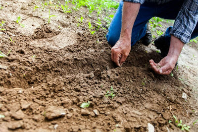 Hand Therapy for Common Everyday Injuries (Like Keyboard Use, Gardening, Crafting)